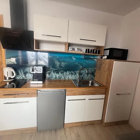 Zakopianskie Pokoje U Eweliny - Apartament Zakopane Zewnętrze zdjęcie