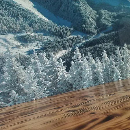 Zakopianskie Pokoje U Eweliny - Apartament Zakopane Zewnętrze zdjęcie